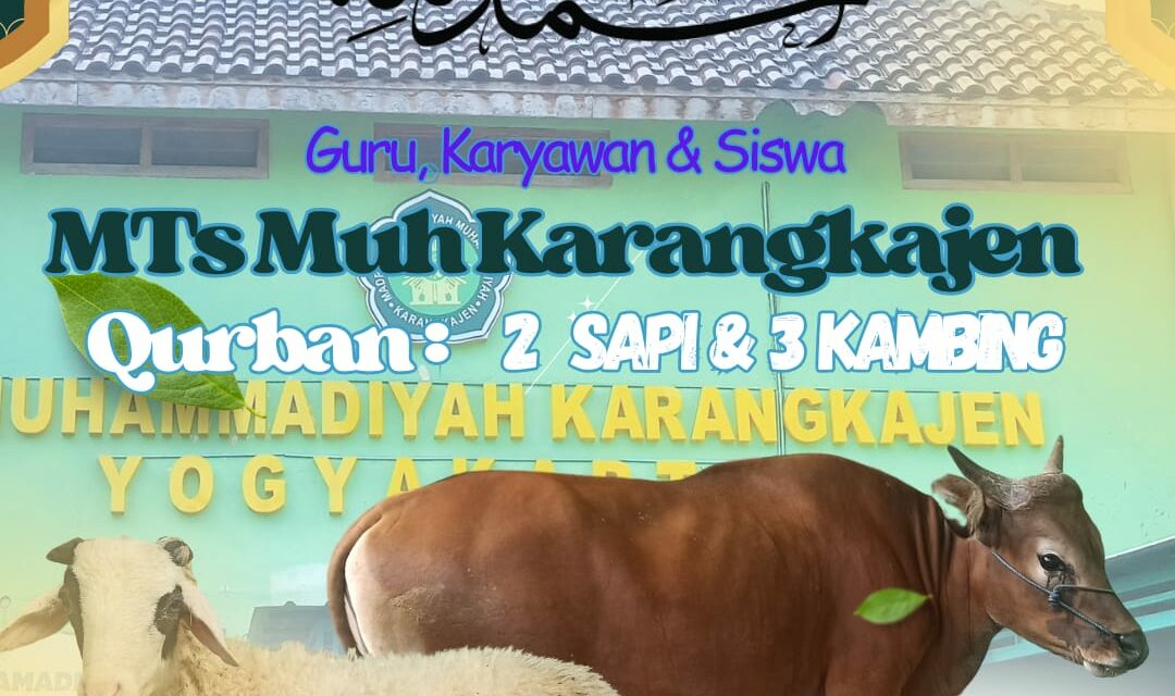 MTs Muhammadiyah Karangkajen Yogyakarta Gelar Penyembelihan Hewan Qurban 1445H