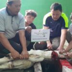 MTs Muhammadiyah Karangkajen Gelar Penyembelihan Hewan Qurban 1446 H